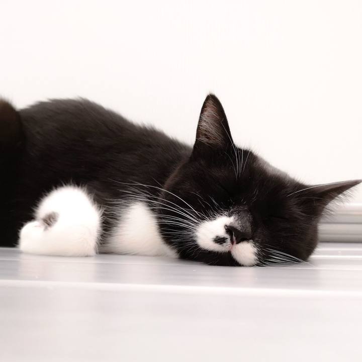 081d8b9c 10ae 4799 a58c 4b32cb9f8a69 1556719181563