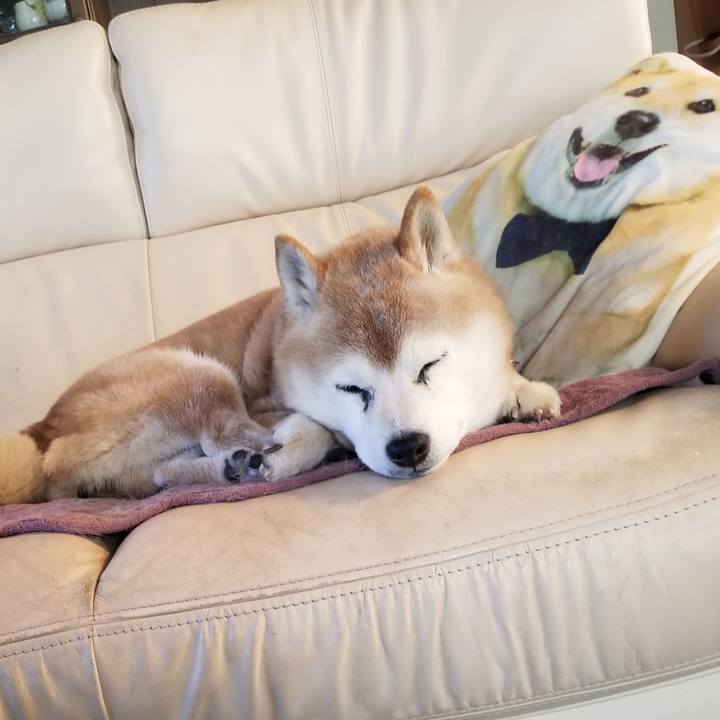 081d9789 f20a 4cfa 835d 6fe99277ff40 1738198051013