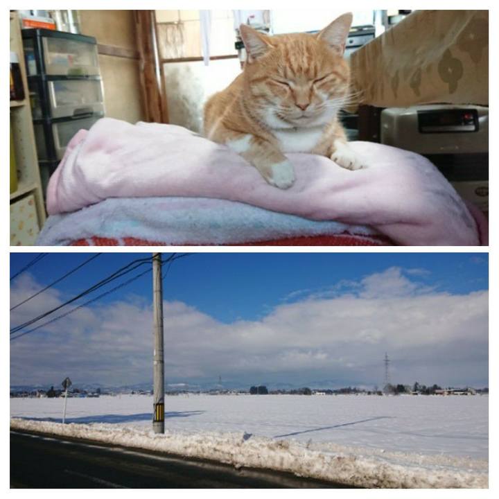 081da008 0676 4add 81d7 8ef35c196719 1608691079925