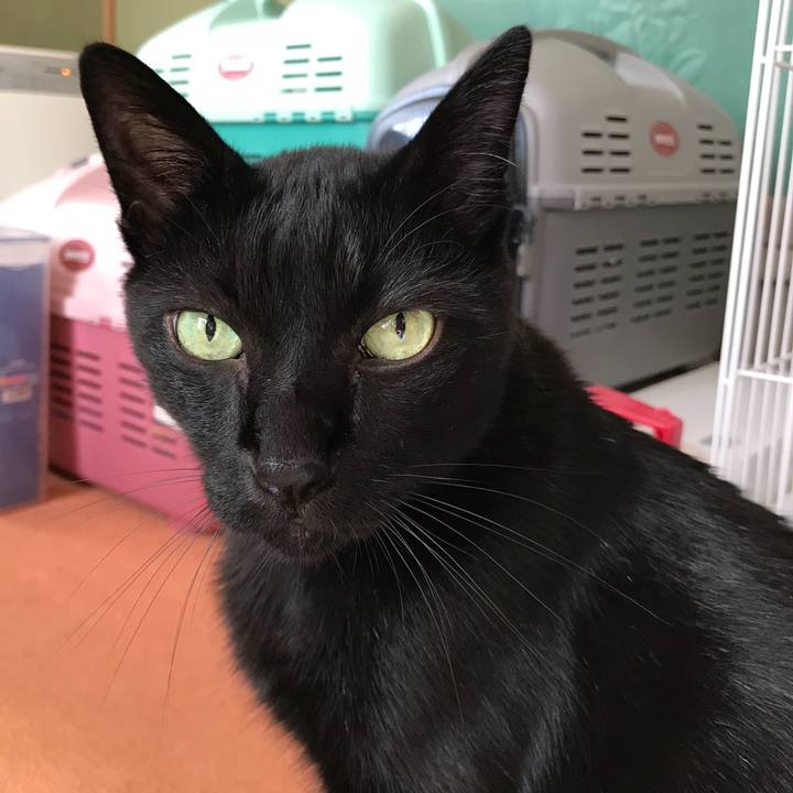 081db4d2 6a2a 461c 965b c249b2f418e0 1534550212888