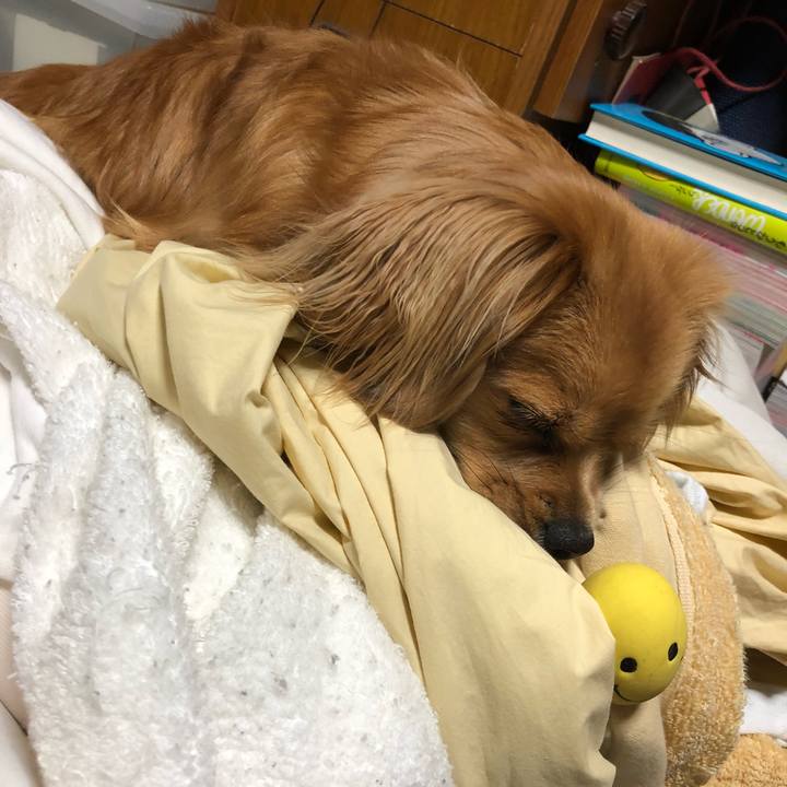 081dd02a 8d53 4d03 b4c1 9960edbe30fa 1525989627595