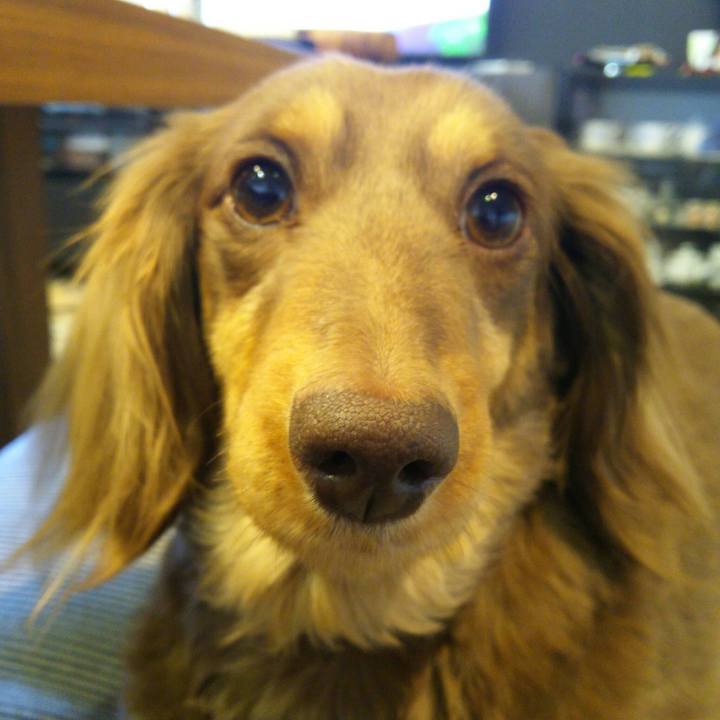 081df073 5f25 4c15 b368 737f3ef51b89 1523751979468