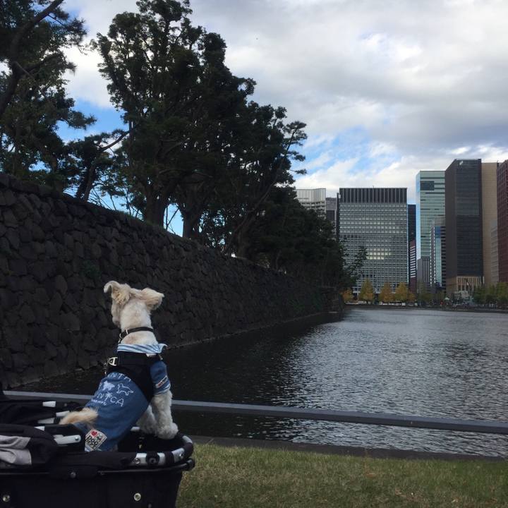 081df937 8dbc 414f 8d6a 0b3544a89805 1510397483004