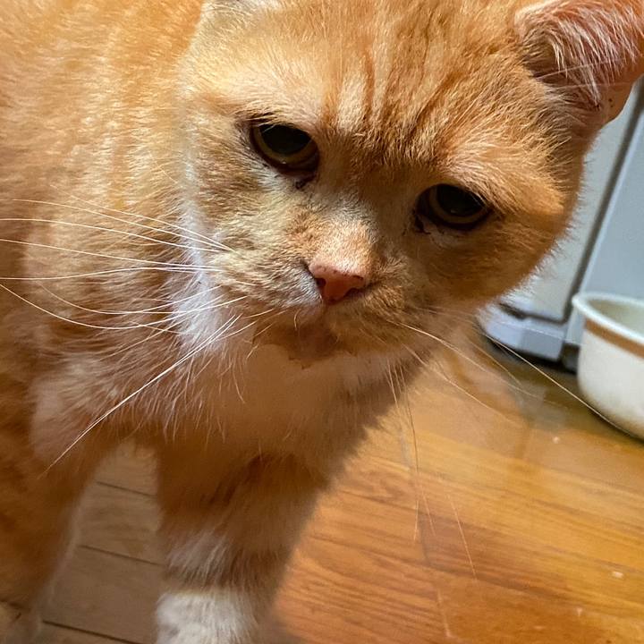 081e1f83 6bbe 492d a633 d384bfe20375 1590143453215