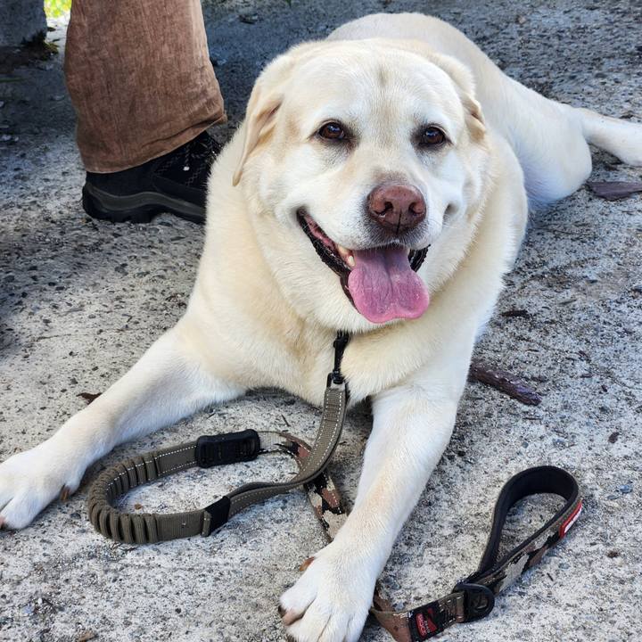 081e4f22 ce2e 4e6a 9ce3 5ea92a5dff63 1755760904112