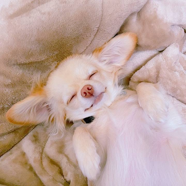 081e8c27 9bb9 4af5 8080 cfeae31b95e6 1620887799190