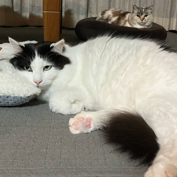 081ea9b4 35c2 4246 92a5 a6fae0817ad5 1766223009951