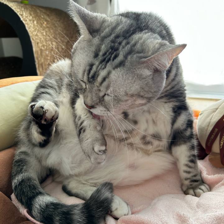 081edfc8 ad35 4ec4 b97a 03d3d699a3f5 1764632268190