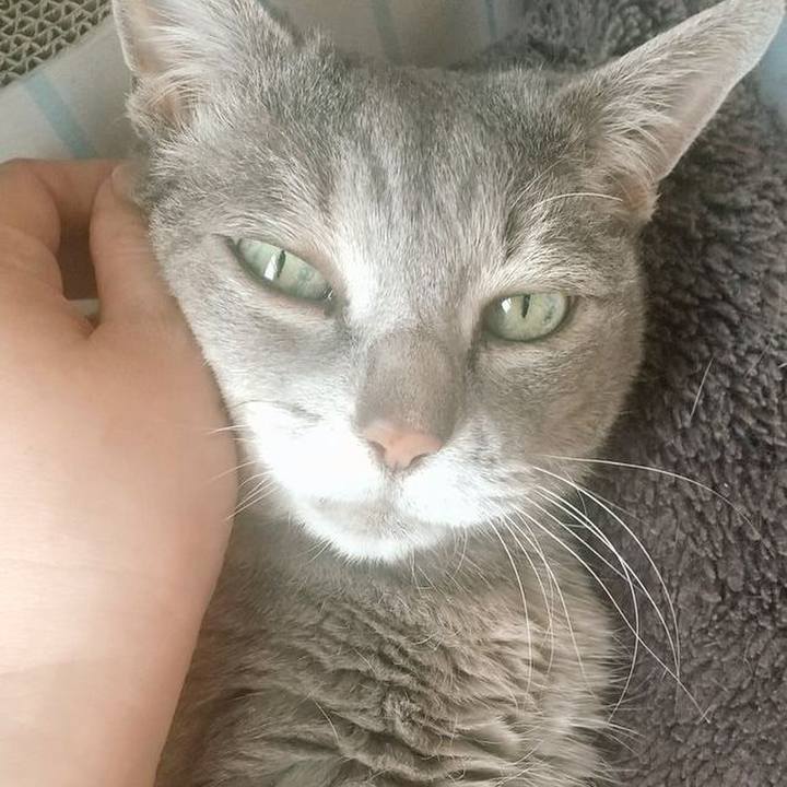 081ee083 00a5 48e9 8e29 488179c5ad9b 1651900798311