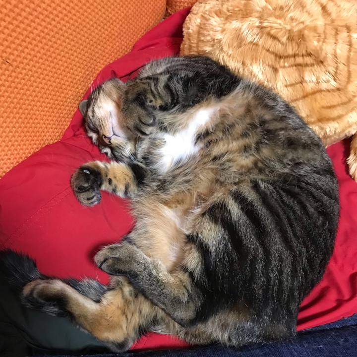 081ef6af 7ed1 486a 8572 12b55430d43a 1646145192706