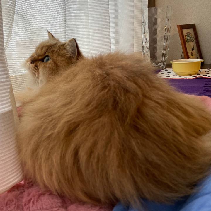 081f1a18 ebd7 477b ba70 150663ca0592 1574165266999