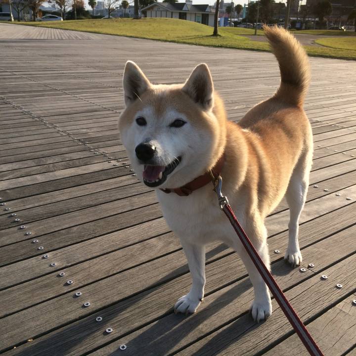 081f3bb8 3db4 4fa6 a67a 7adeaf7a2844 1549884677377