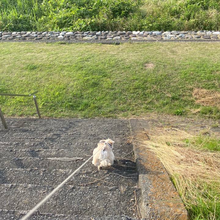 081f5672 620f 4903 bf6b 3cd12c07ce8e 1591674534636