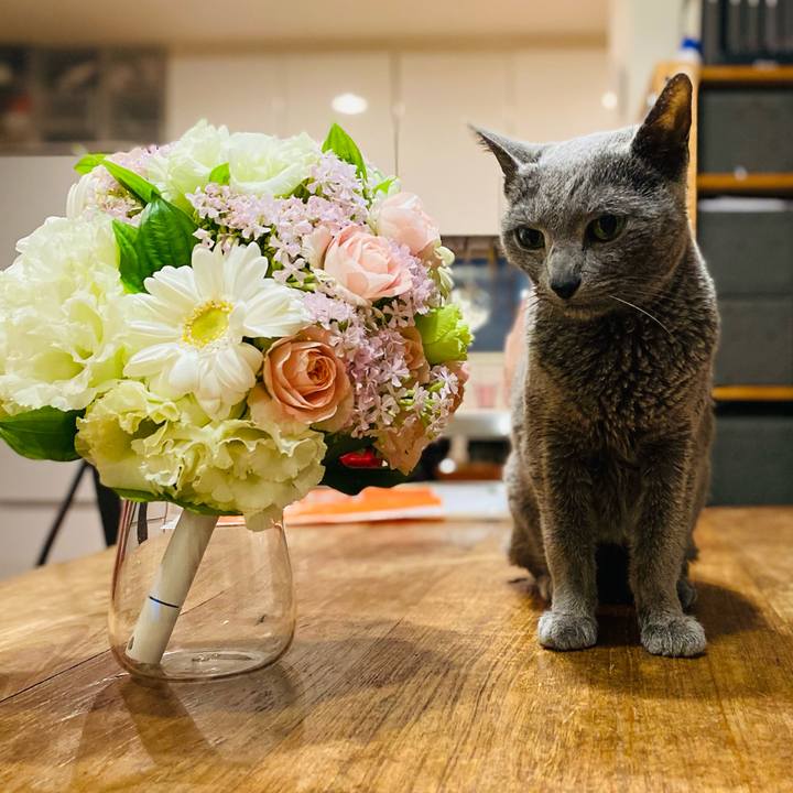 081facc0 33fe 4f1f 8a0e 616d9dd7c958 1616846139889