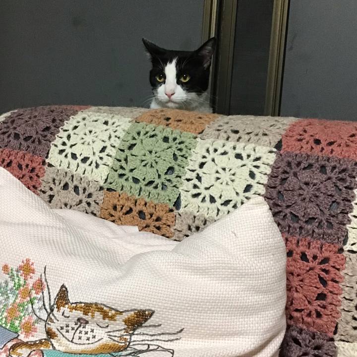 081fc7d8 2ce5 4565 82c1 e307b8432686 1664621070212