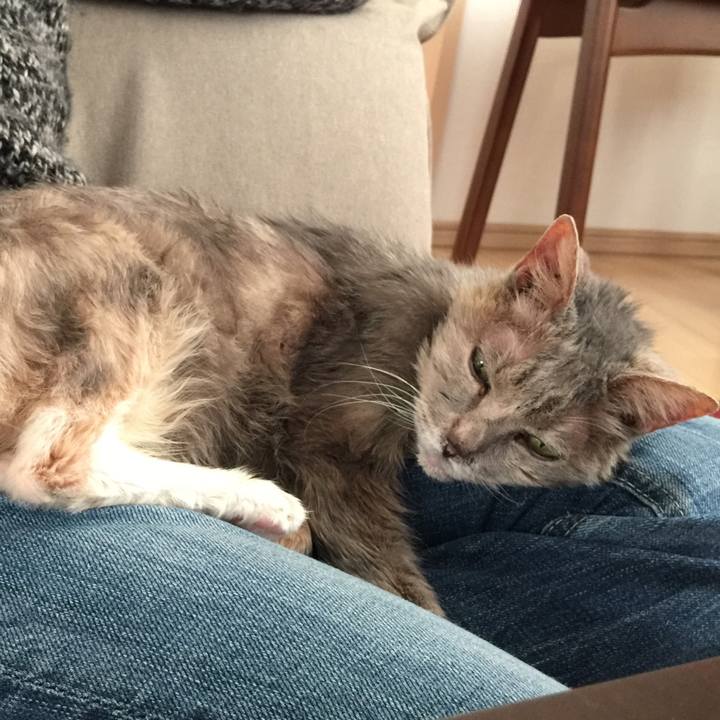 082016c5 b19a 4dba 951d a4344d162248 1514788707709