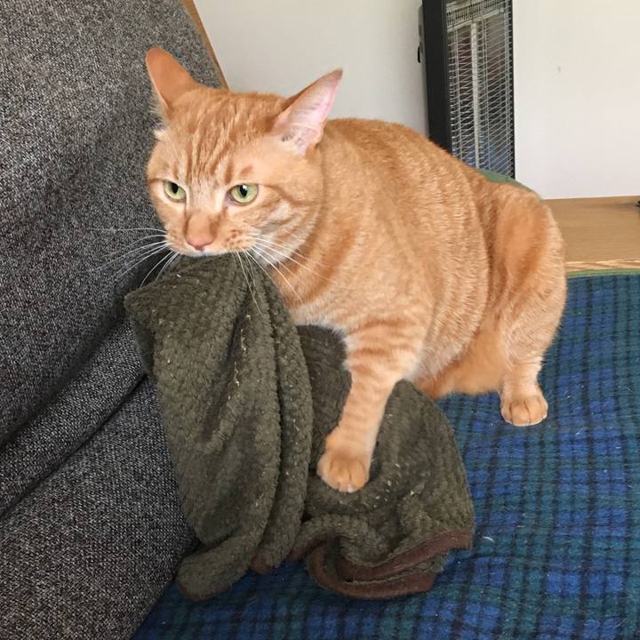 08202de4 3c40 4125 9984 ff9375a66da6 1587600457081