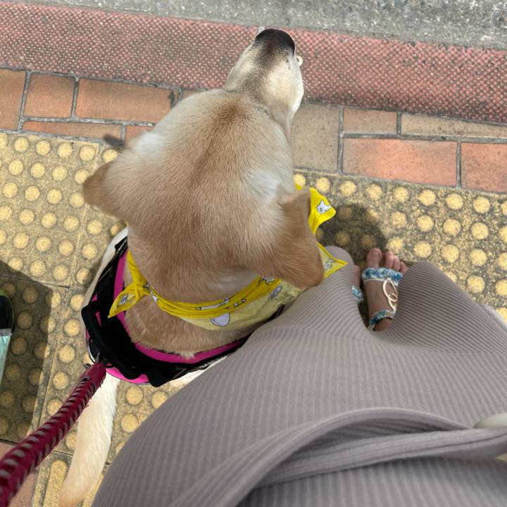 08203844 ed0f 4176 9c5e eef8a908800e 1622027217876