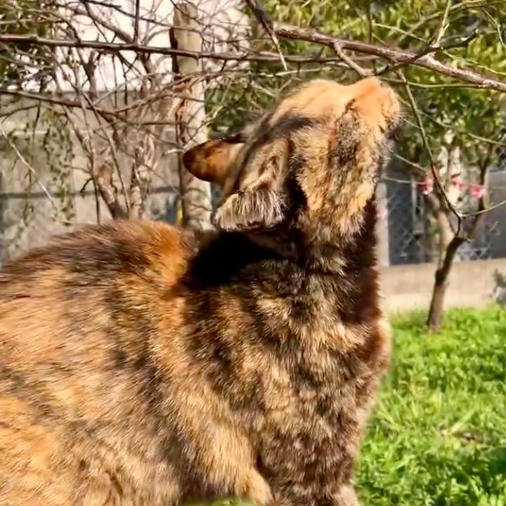 08203e42 69a2 4fa9 873e 783299486862 1742521733852