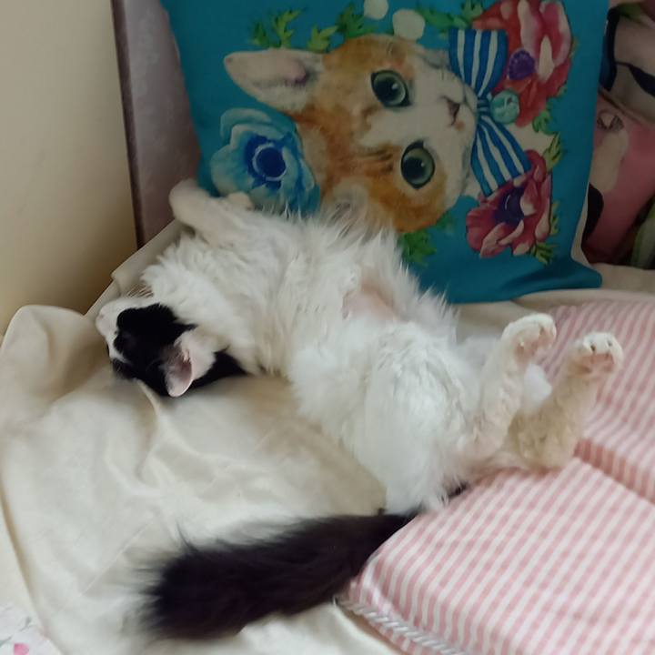 08206b95 100d 4385 a0b4 ac3346a6100b 1686477693288