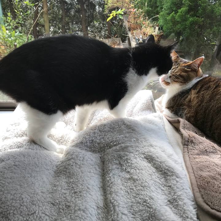 08207528 8a13 43a1 bcd4 d47599ab708d 1511334428450