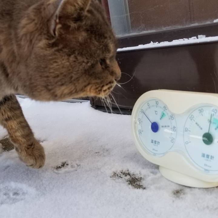 082086f1 b772 4d4e 8a00 b65574b03ad5 1549707330251