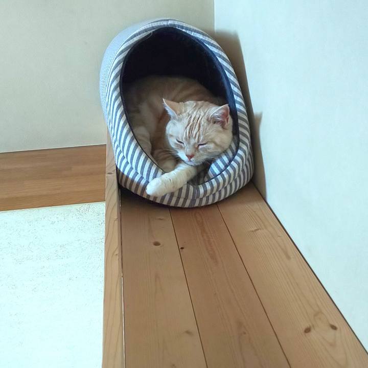 0820a5b1 555b 4d12 8475 41f70eef618d 1553839967567