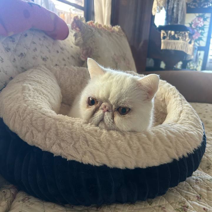 0820a604 b52f 4576 8166 c535f8b5e0ef 1768631128732