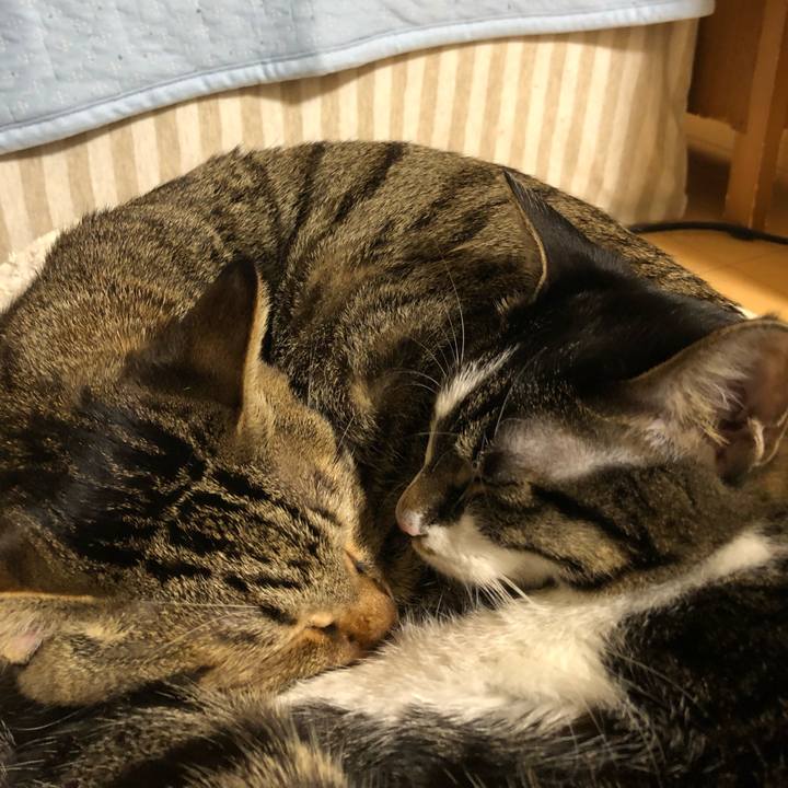 0820dc69 a50e 40ac 9248 8bcb7c17a871 1514473181617