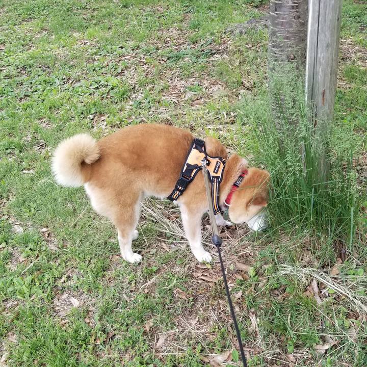 08210e28 d0df 48ab 9476 e4e0295ddcc3 1715756038713