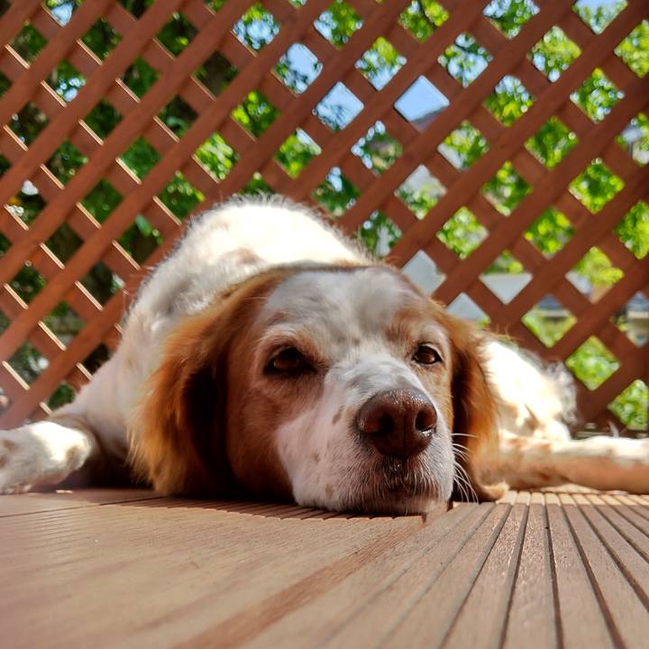 08212e74 daf0 48c5 8238 2dac60d52b60 1653370747991