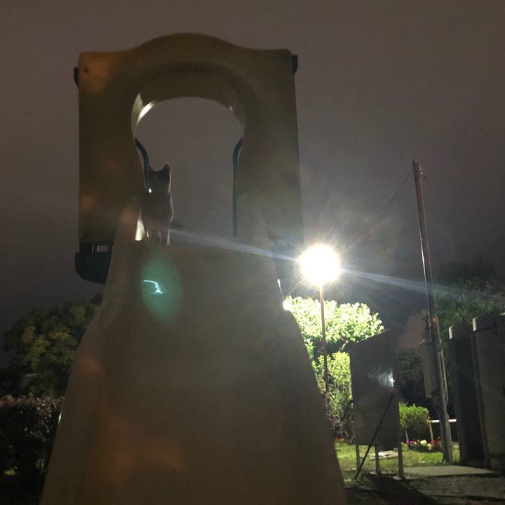 08214366 8a26 4254 885c b701e2a3bc9b 1563727130751