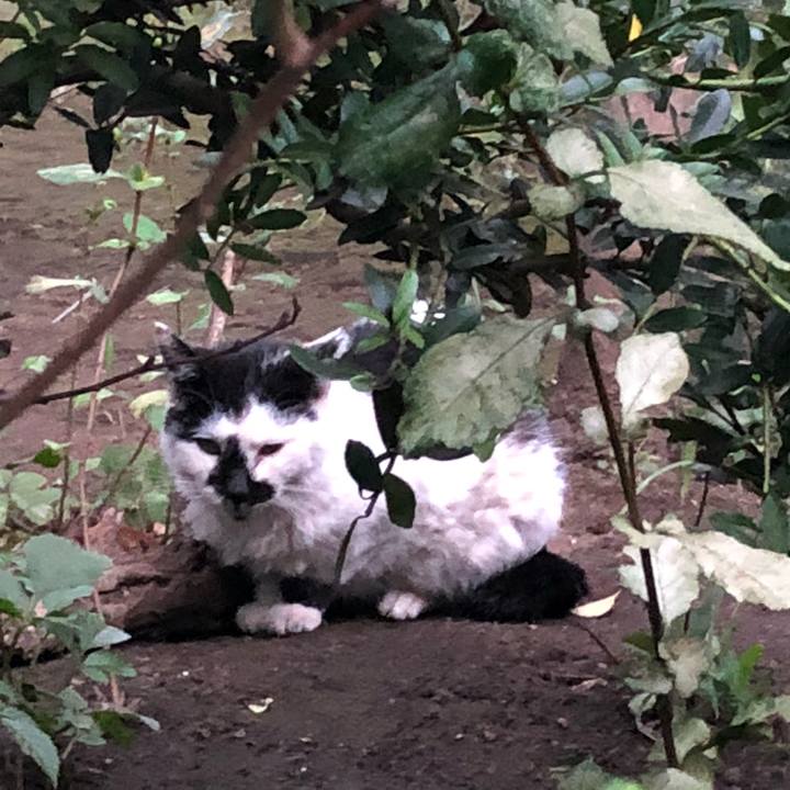 08214701 bc3a 411c 9201 32283497fdc0 1536238946858