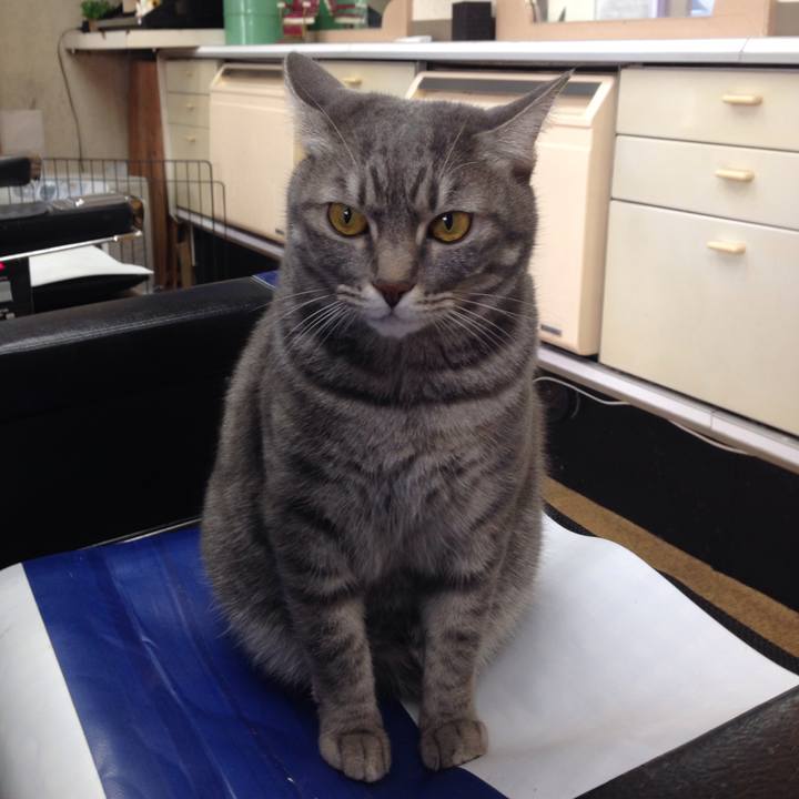 082156af 618b 4d31 b948 67c7bdd73e6f 1512184607040