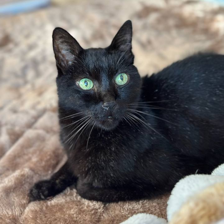 082159a6 0a2f 43d4 b7eb 0fc3306db735 1704593378258