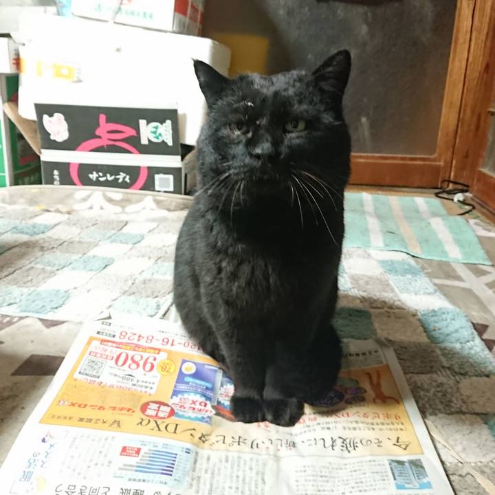 08217ee7 a7d1 4eda a2a5 3f644c9c6e65 1646389620823