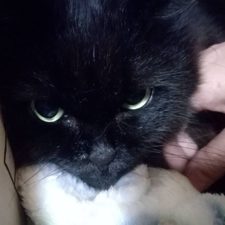 08217f4c 67ce 4135 9db2 a8b6086a279e 1513515020260