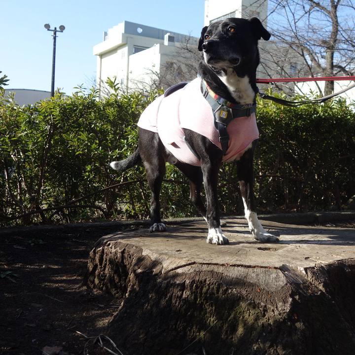 08218862 16b6 4f7e 8386 91956cdd0f5c 1710120931077