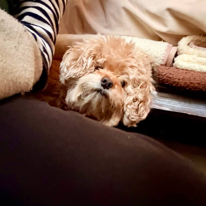 0821c7e6 c54d 425a a74e ff1d896cc2da 1765171989745