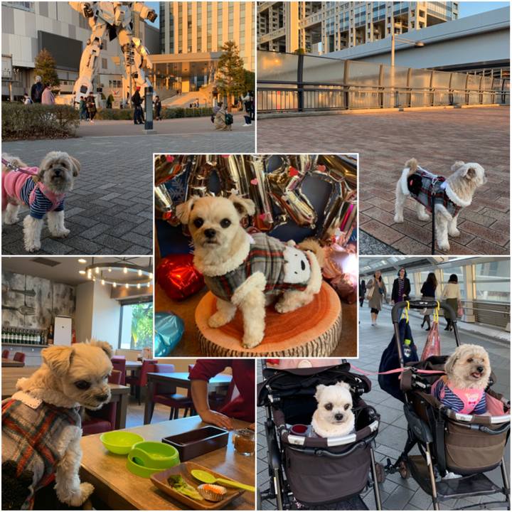 0821d3f1 3bca 4880 b448 453a45fe52aa 1579518360927