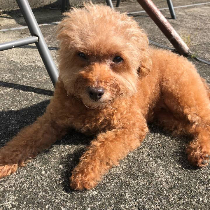 0821f34c 50a0 4e32 87b9 fc15c7e12f8b 1581165492270