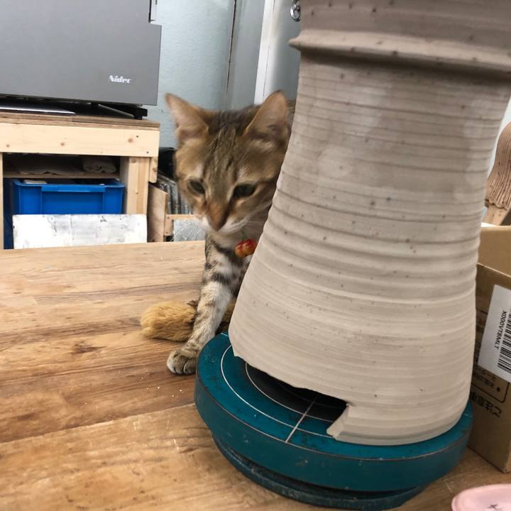 0821ff8c cd69 4288 8bb6 6b75ddf172ca 1645863122959