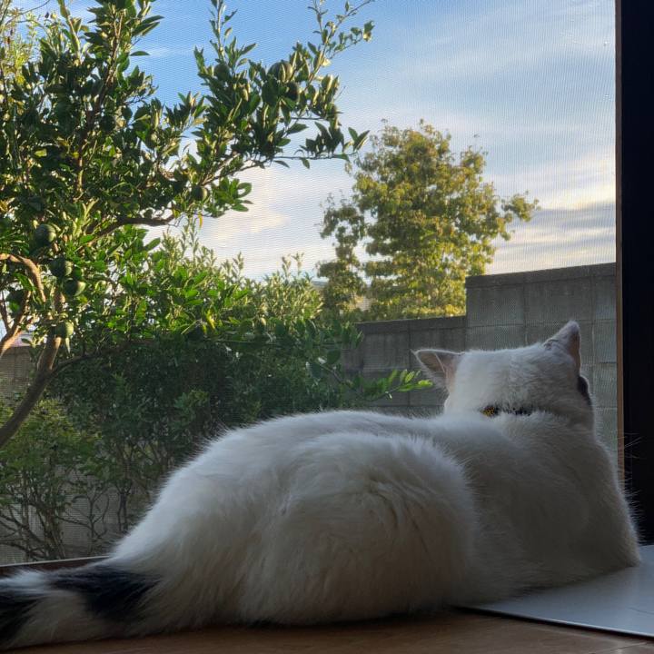 08220b25 e21a 4cad 8a43 d9b4f85058c4 1723801914862