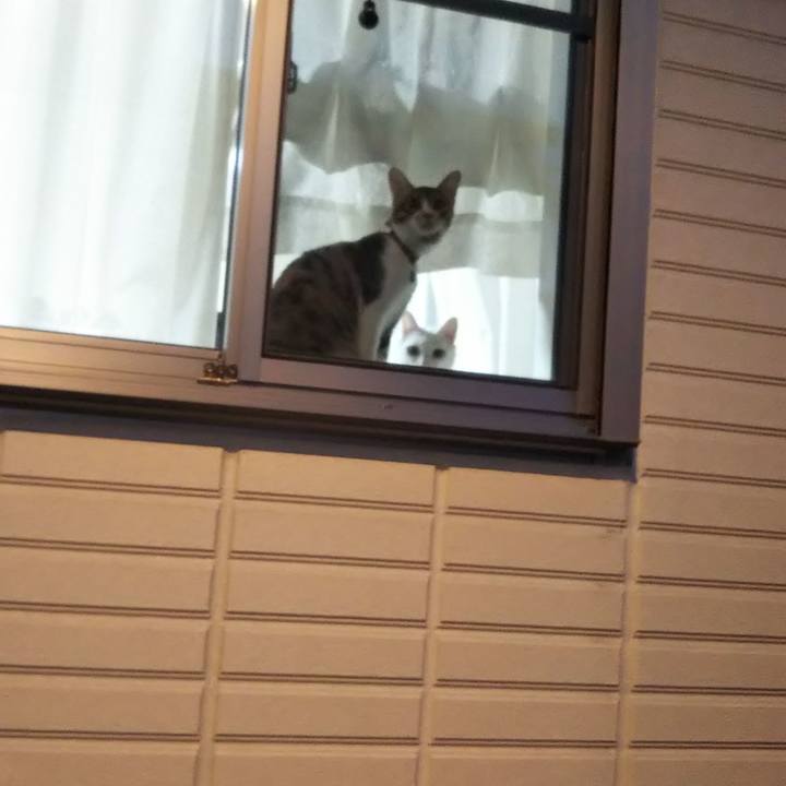 082218b6 34d0 43ee 9c51 c937bb6604ef 1640524761420