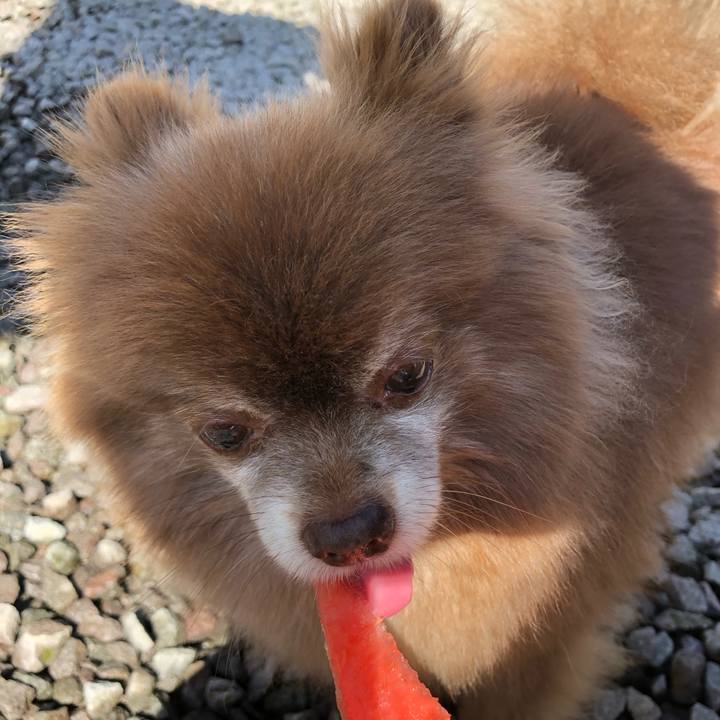 08223499 6379 4b73 8773 92a3eed77587 1623581062916