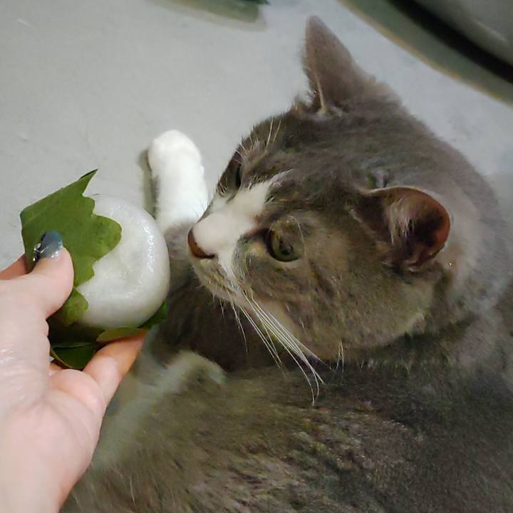 08225e77 9d7e 476a 990f 78ab99ff1419 1714822657462