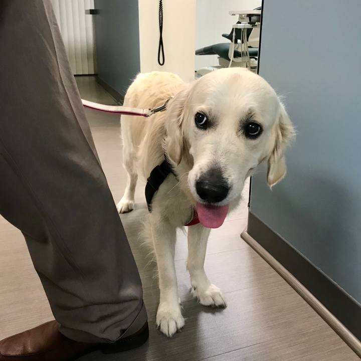 08226027 39bd 4bc3 ac63 7081fc0c2f71 1541668356240