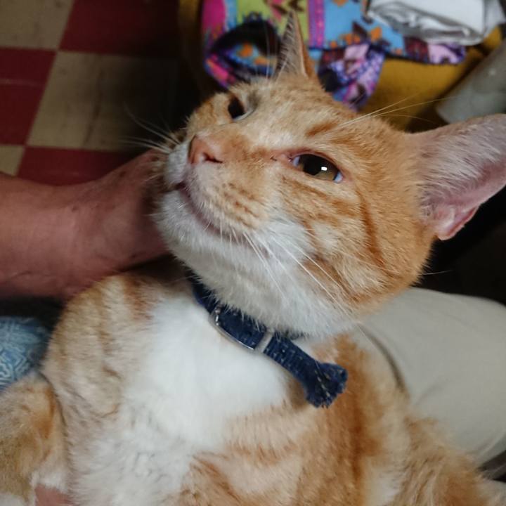 08226cea cb3b 4b47 bf3f 9b3600123c61 1564269713893