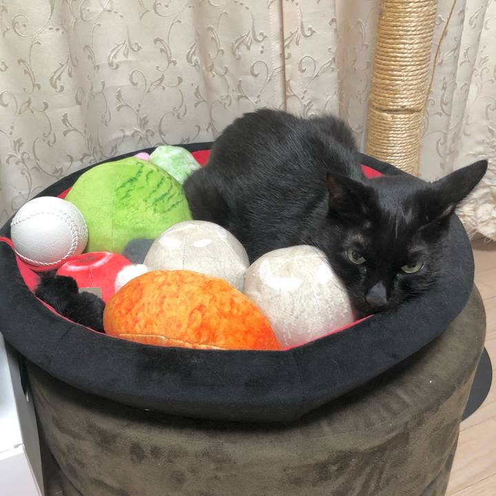 0822dea9 1b33 4cad b4c5 9671d4a0e6e9 1625388336845