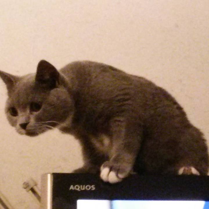 0822eb37 308e 417e b4fa 22f607d1e13b 1539901184050